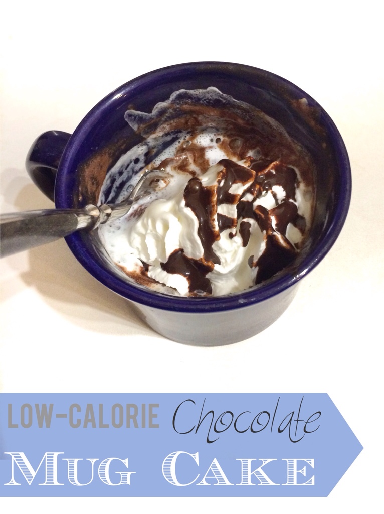 Low Calorie Chocolate Mug Cake - Eclectic Momsense