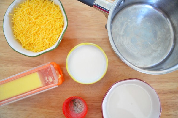 cheese-sauce-ingredients