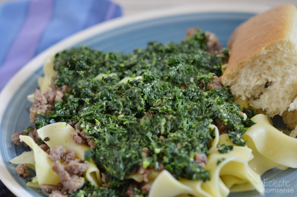 Kale Pesto with Beef Noodles