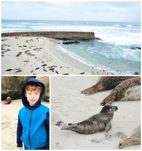 San Diego Family Vacation | Your checklist of FREE kids activities in San Diego this October: play, eat, ride, learn, fly, stay, explore! #KidsFreeSD #ad