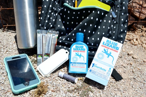 Blue Lizard Sunscreen