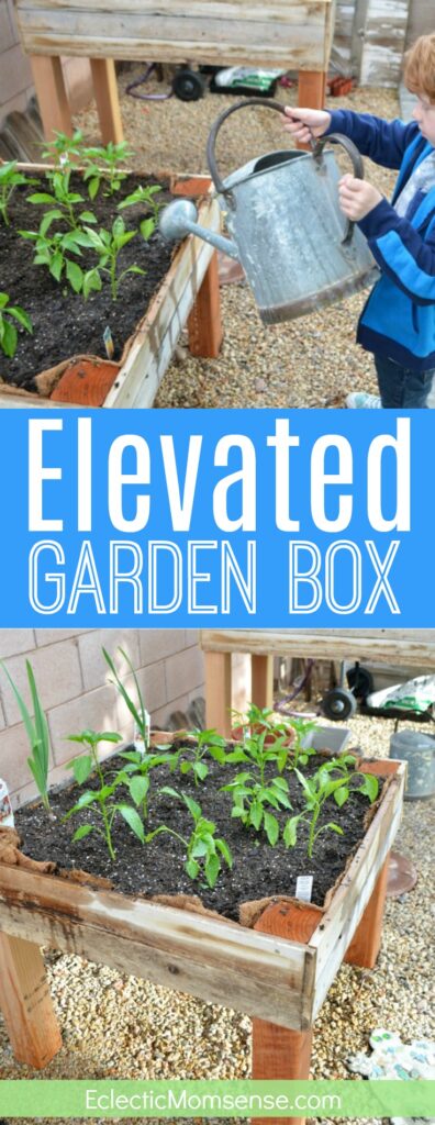 Elevated Garden Box 